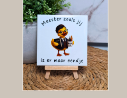 meester tegeltje eendje